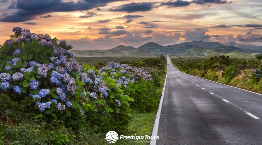 Faial, São Jorge e Pico