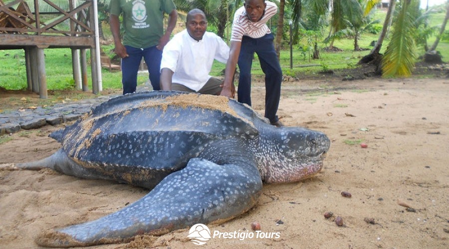 São Tomé e Ilhéu das Rolas