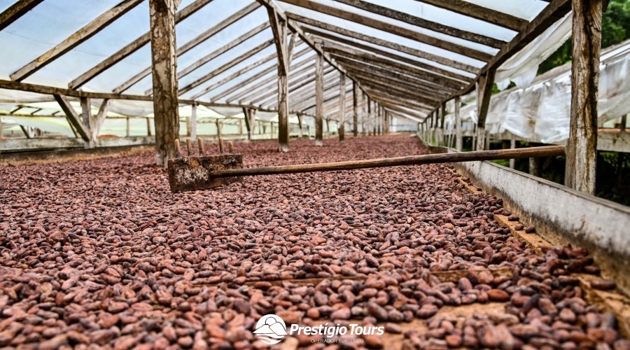 São Tomé e Ilhéu das Rolas