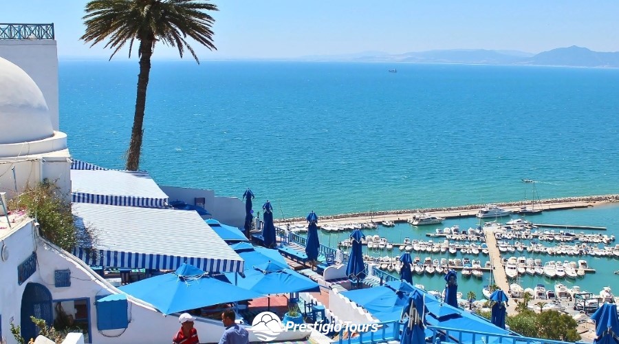 O Melhor da Tunísia